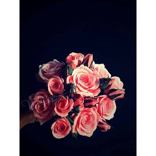 Đất sét Nhật tự khô Minimal Rose