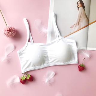 Áo lót học sinh cấp 2 chất liệu cotton lụa mềm mại freesize dưới 52kg, hàng chuẩn hình chụp, bao chất