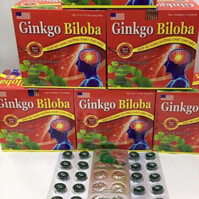 Ginkgo Biloba 240mg Bổ Sung Dưỡng Chất Cho Não Hộp 100 viên