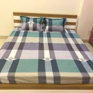 Bộ ga, gối cotton 2m2