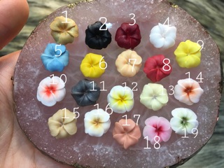 hoa bột nail, trang trí móng  hoa mai ( 7k/1b)