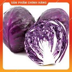 HẠT GIỐNG BẮP CẢI TÍM GÓI 2 GRAM