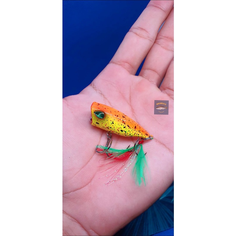 Mồi giả câu cá lure Popper nobeyy B1 săn cá Chét, Măng, Chẽm 4,5cm/6G