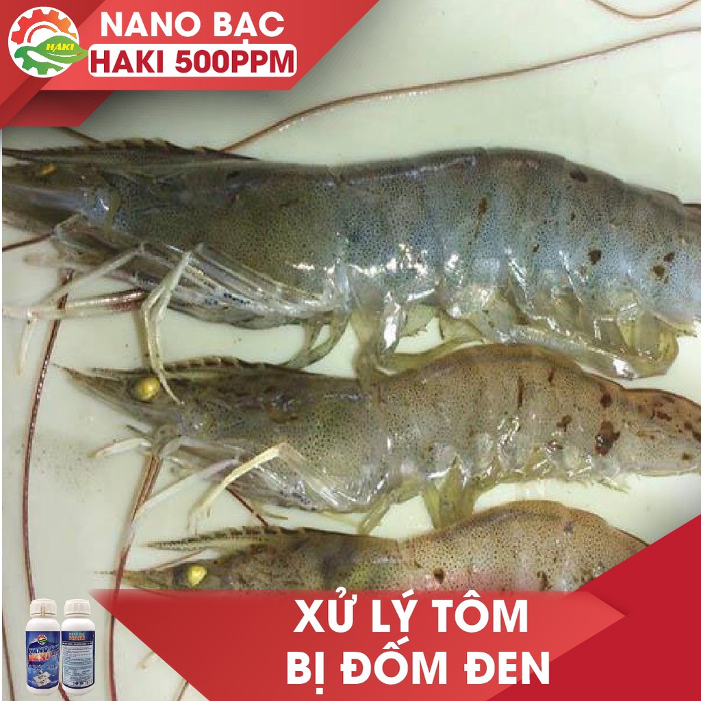 Nano bạc trị nấm Haki khử trùng ao nuôi, hôi tanh, diệt tảo lam, làm trong nước và phòng trị bệnh cho hải sản