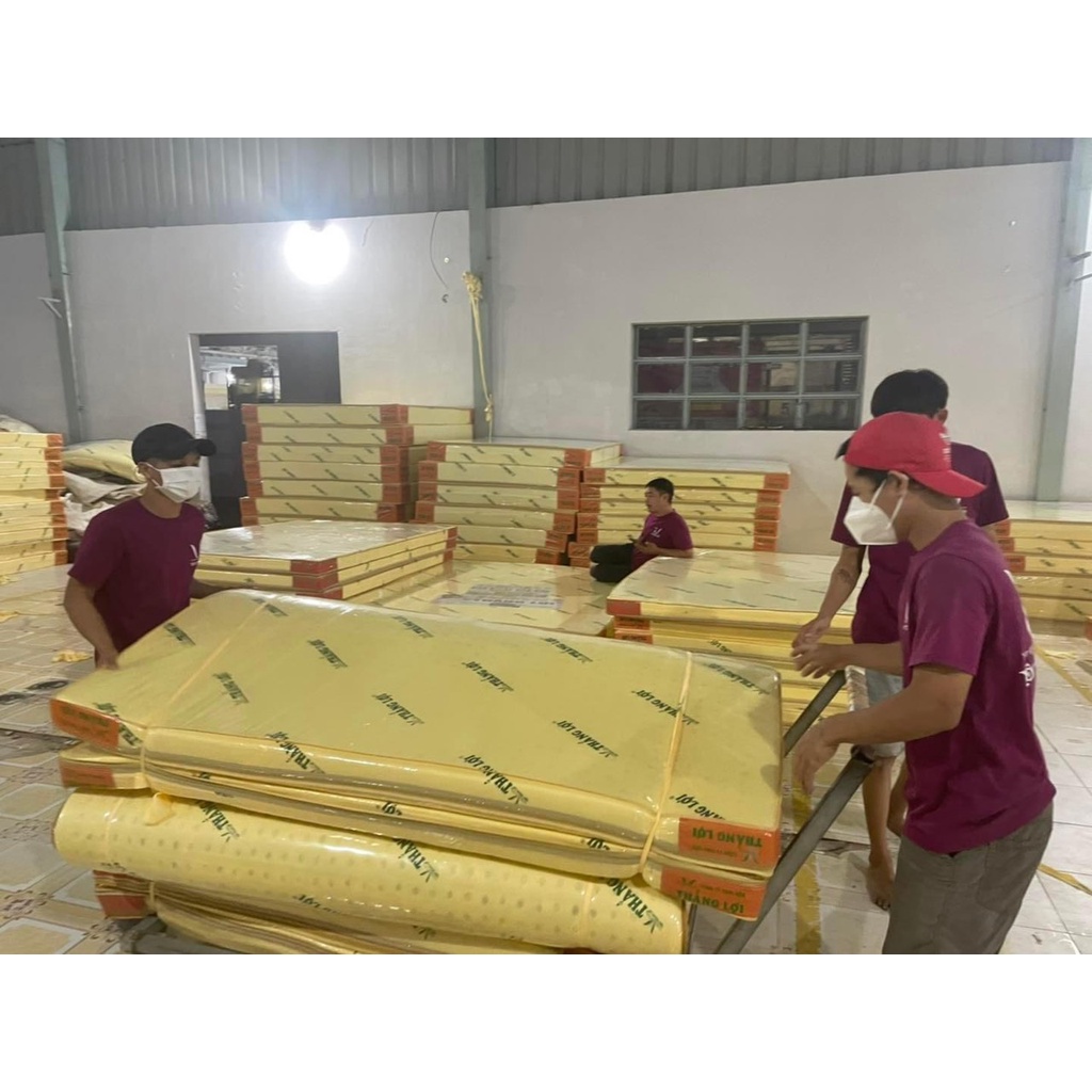 Nệm cao su non 1m8x2mx10cm Thắng Lợi