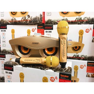 LOA BLUETOOTH HÁT KARAOKE SD-306 KÈM 2 MIC KHÔNG DÂY