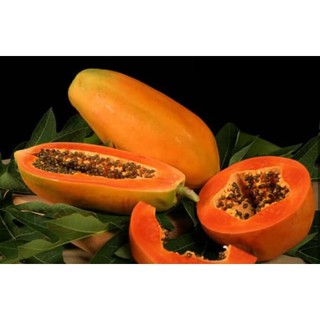 Hạt Giống Đu Đủ Ruột Đỏ (20 hạt)