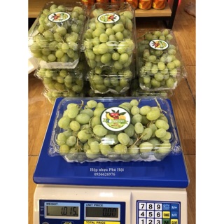 100 hộp đựng trái cây 1kg P1000A ( nho, cherry 1kg)
