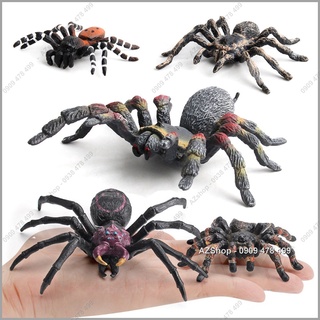 Mô Hình Loài Nhện - Thế Giới Động Vật -  7709