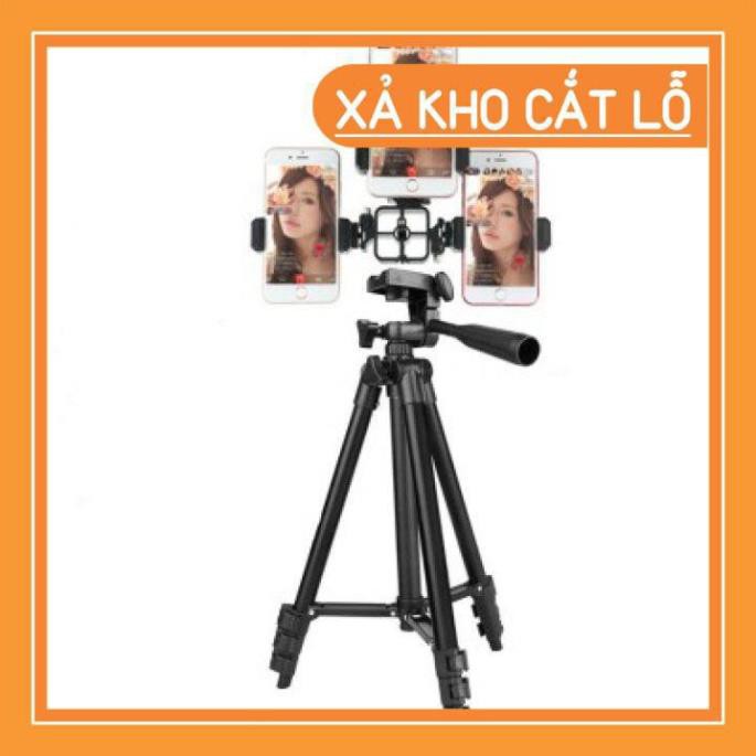 [FreeShip_Xả Kho 1 Ngày] Gậy, Gía Đỡ Chụp Hình - Livestream TRIPOD 3110 | BigBuy360 - bigbuy360.vn