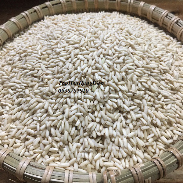 Gạo Nếp Lứt Nấu Cơm Rượu + Men Làm Cơm Rượu