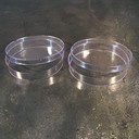 Đĩa petri nhựa 35x15mm, 60x15mm free DNA, non -pyrogenic