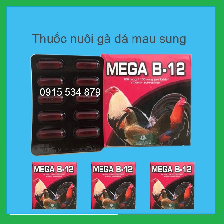 mega b12 Nuôi gà đá Hừng gà, Bóng lông, Mau lên tay