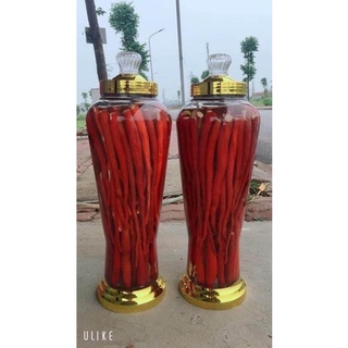 Sâm Cau Đỏ- 1 set/ 2kg- thaoduocsachdaklak