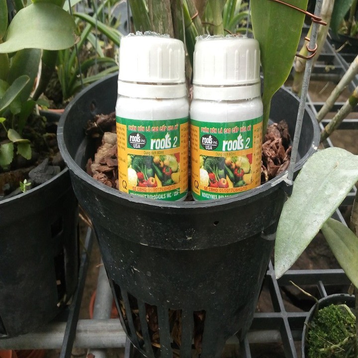 Thuốc Kích rễ giải độc hoa kỳ Roots 2 100ml