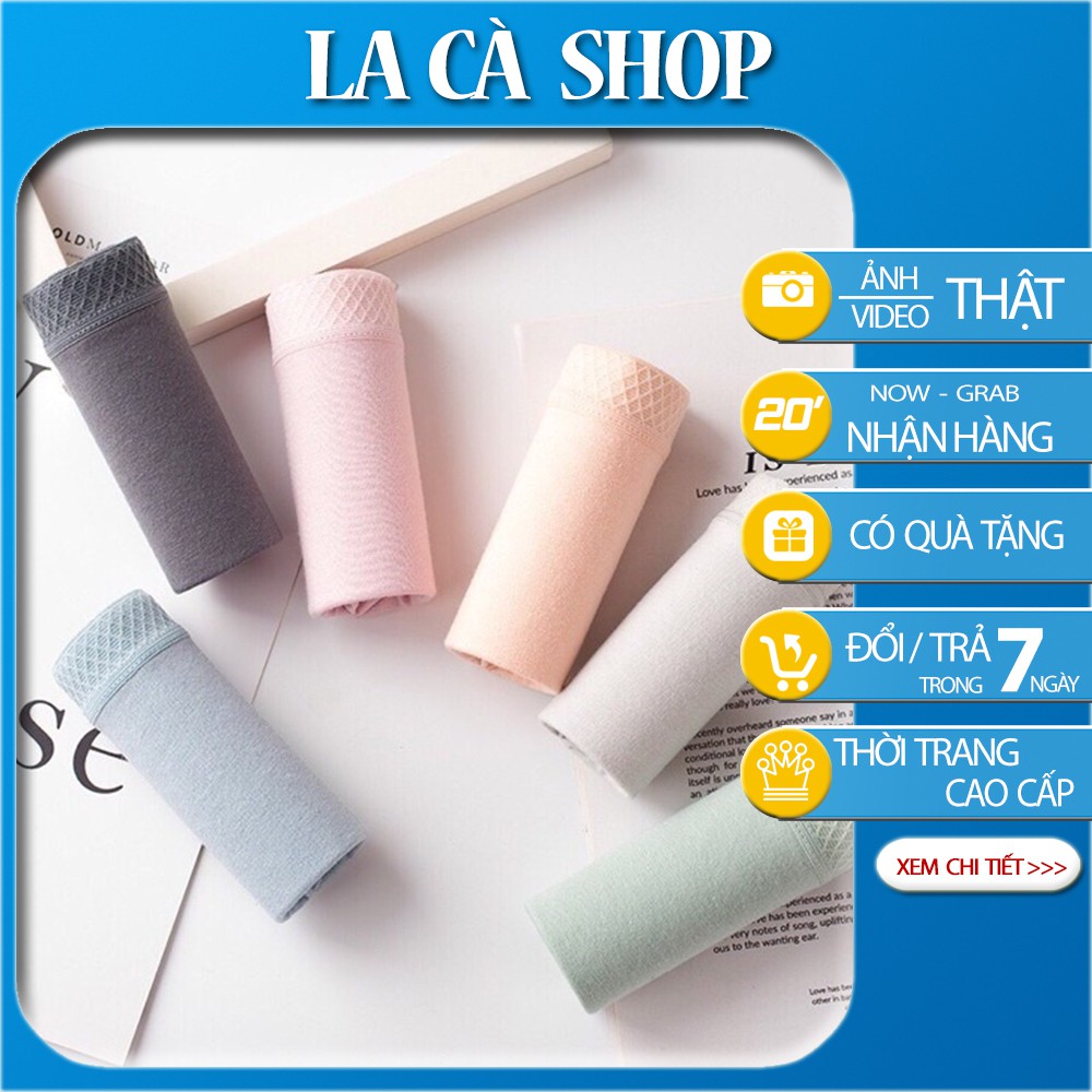 Quần chip nữ [FREESHIP] Quần Lót Muji kháng khuẩn Cotton Cạp Ren Cao Cấp Mới (1 Quần)