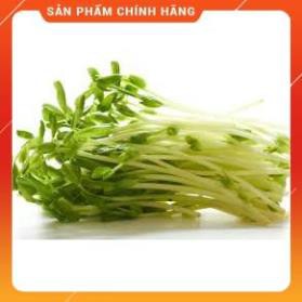 HẠT GIỐNG RAU MẦM CỦ CẢI TRẮNG GÓI 50 GRAM