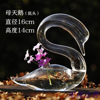 Bình Hoa Thủy Tinh Hình Thiên Nga