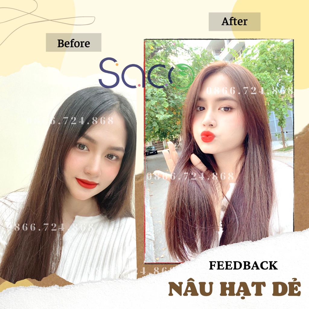 Dầu gội nhuộm tóc Nâu Hạt Dẻ SACO Chesnut Brown 06 từ thảo dược thiên nhiên không gây khô xơ tóc
