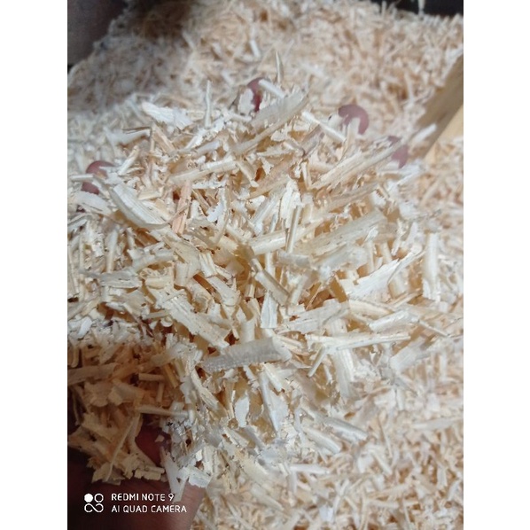 mùn cưa gỗ thông cho chuột hamster