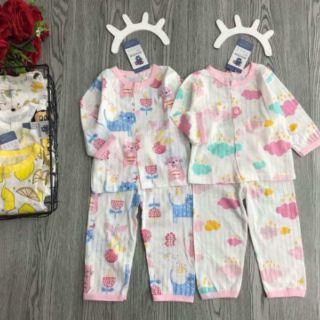 Combo 4b Cotton giấy