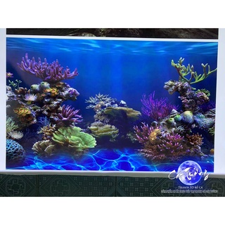  tranh 3d. tranh dán bể cá thủy sinh bể cá rồng  tranh lưng  