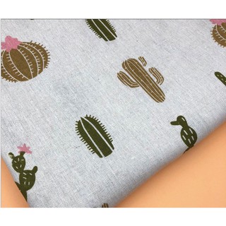 Vải canvas chụp ảnh sản phẩm mẫu xương rồng