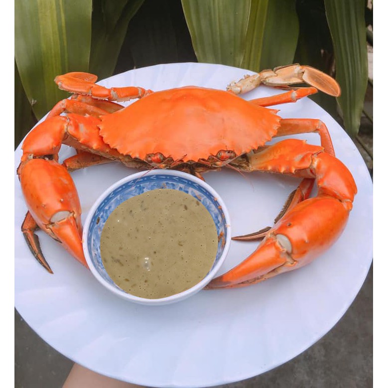 Gói Sốt Mè Rang Rong Nho Đậm Đặc 15ml | BigBuy360 - bigbuy360.vn