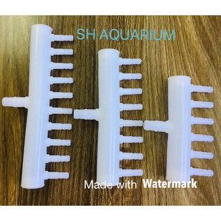 Đầu Chia sủi Ôxy nhiều vòi