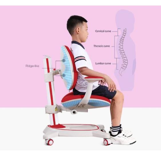 [CHÍNH HÃNG] GHẾ CHỐNG GÙ CAO CẤP C21A mẫu mới nhất 2020_GHẾ CHỐNG GÙ K2 _MOMOMART | BigBuy360 - bigbuy360.vn