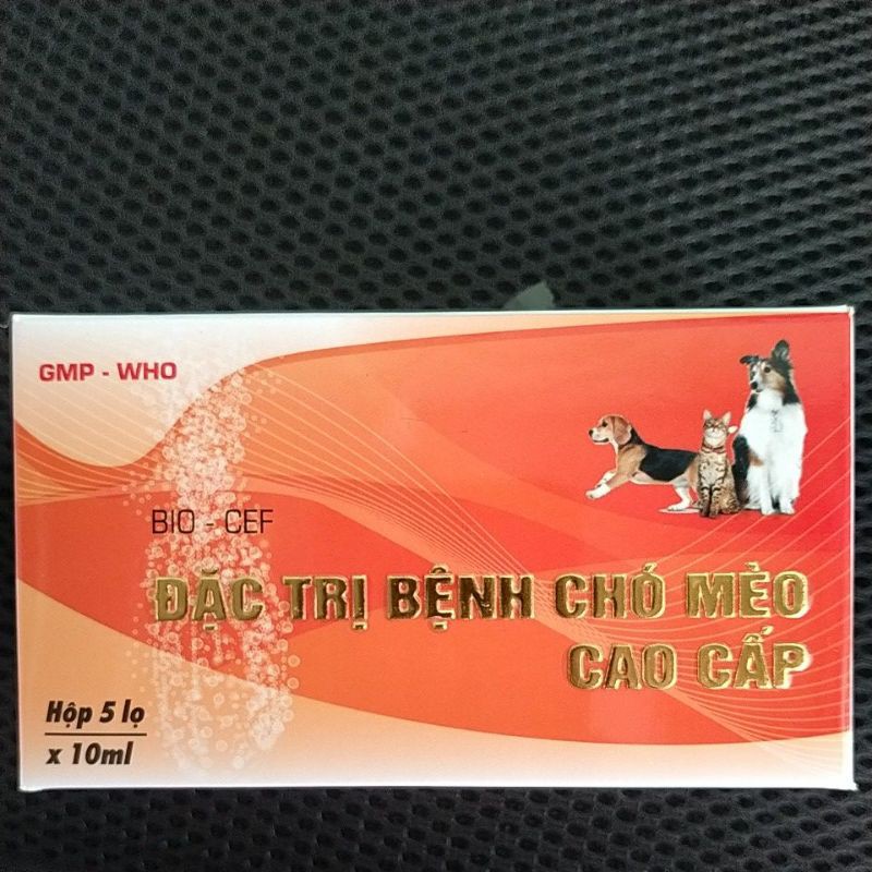 1 CẶP KHÁNG SINH CHÓ MÈO CAO CẤP 10ml