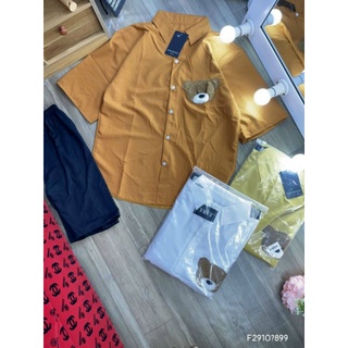 Bộ lửng gấu dễ thương