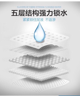 Tả Bỉm ra ngoài ( chó & mèo gái )