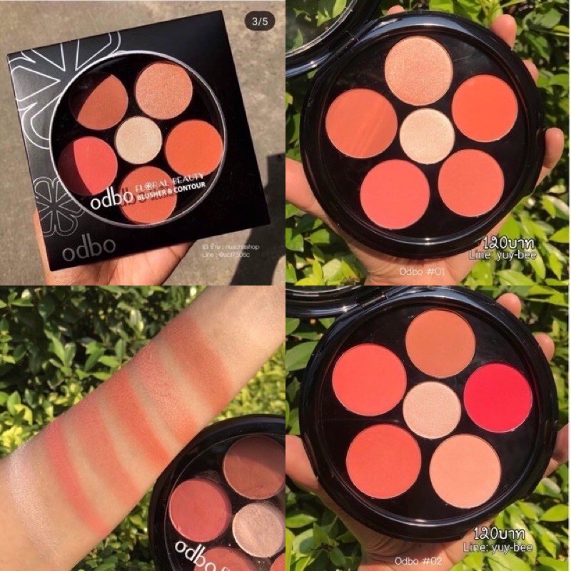 Phấn má 6 ô ODBO Blusher & Contour OD161