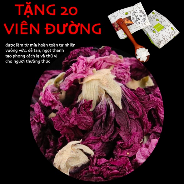 (miễn phí đường viên) Violet forget me not / Hoa violet (hàng xuất khẩu) | BigBuy360 - bigbuy360.vn