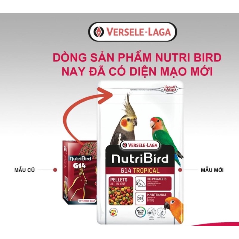 Hạt trái cây G14 dành cho vẹt gói lẻ 100g