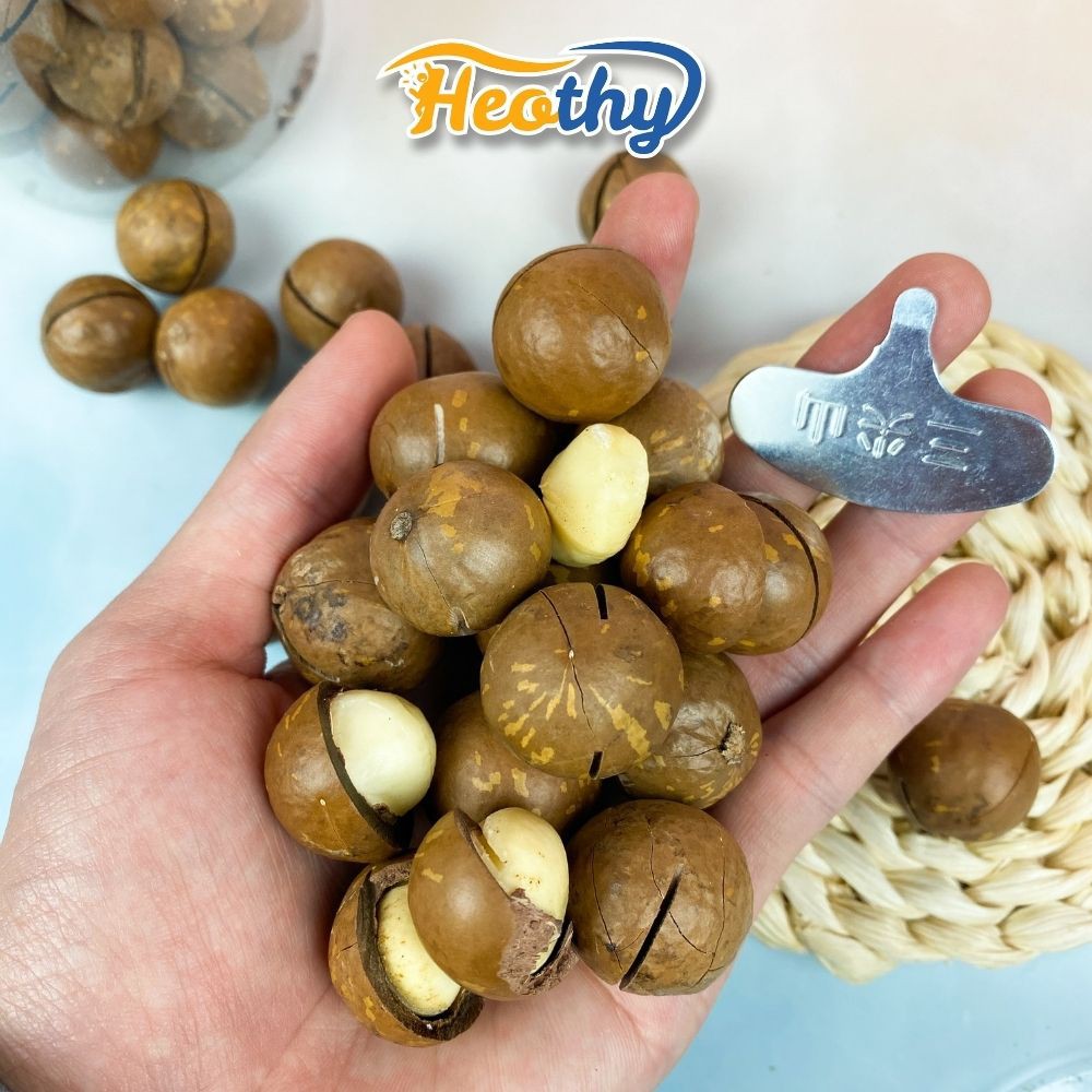 Hạt macca nứt vỏ 450g bao ngon HeothyFood, hạt dinh dưỡng Việt Nam chất lượng cao