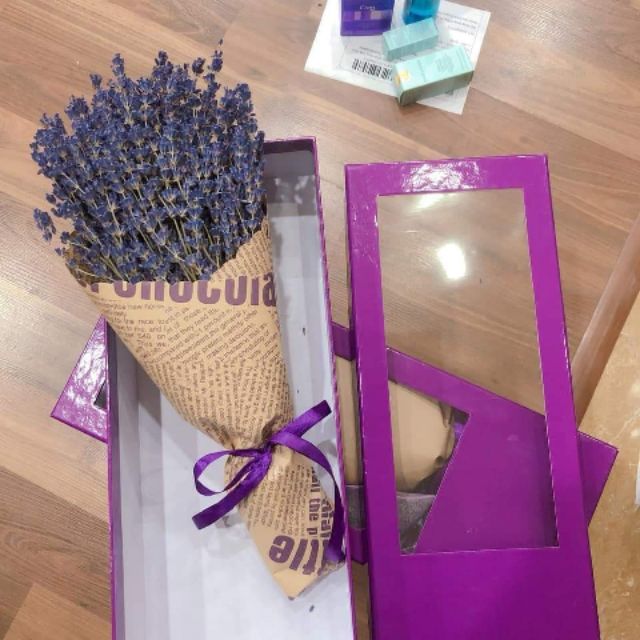 Hoa Oải Hương-Lavender PHÁP