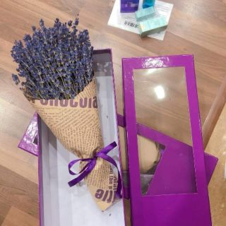 Hoa Oải Hương-Lavender PHÁP