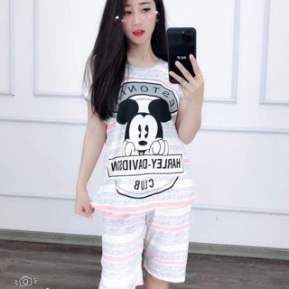 Combo 5 bộ lửng bất kì