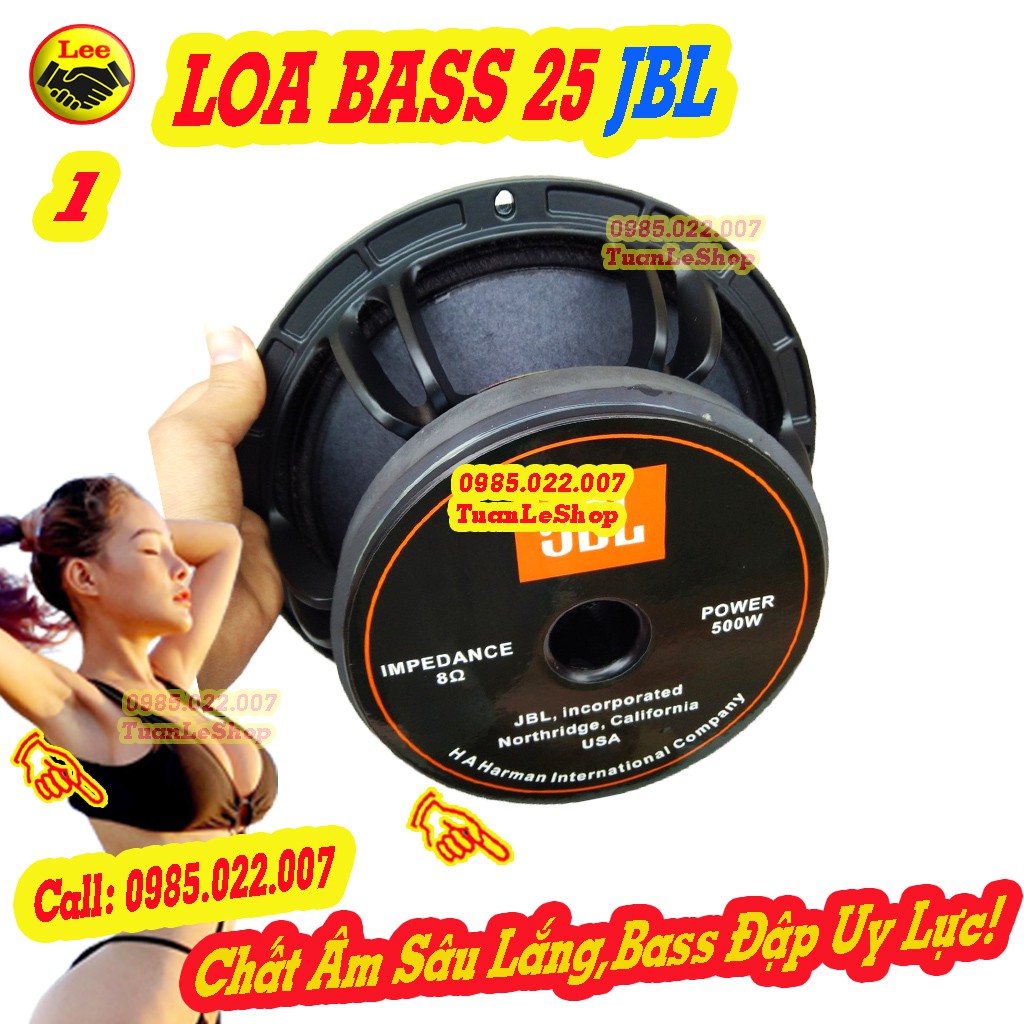 BASS 2.5 TẤC - LOA KARAOKE  JBL TỪ 170 -GIÁ 02 LOA BASS 25 JB L