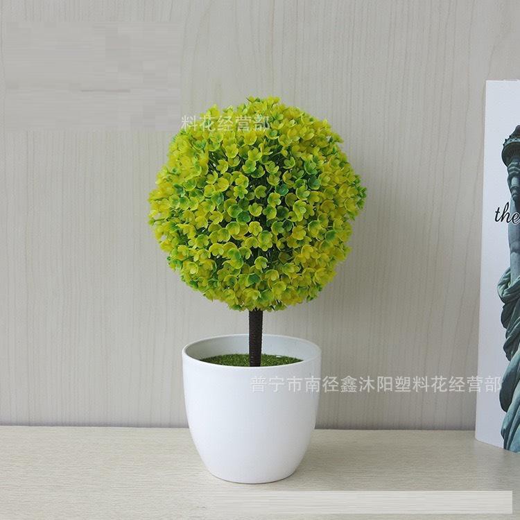 Chậu hoa cẩm tú cầu để bàn, để trang trí kệ treo tường .