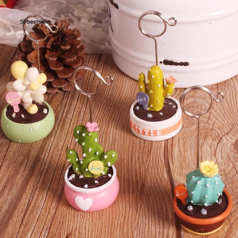 Kẹp đựng hình mini hình cây xương rồng