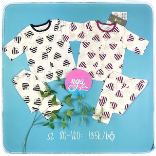 Bộ cộc cotton giấy Moimoln