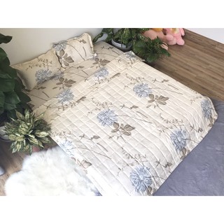 Set ga kèm 2 vỏ gối siêu hạt rẻ