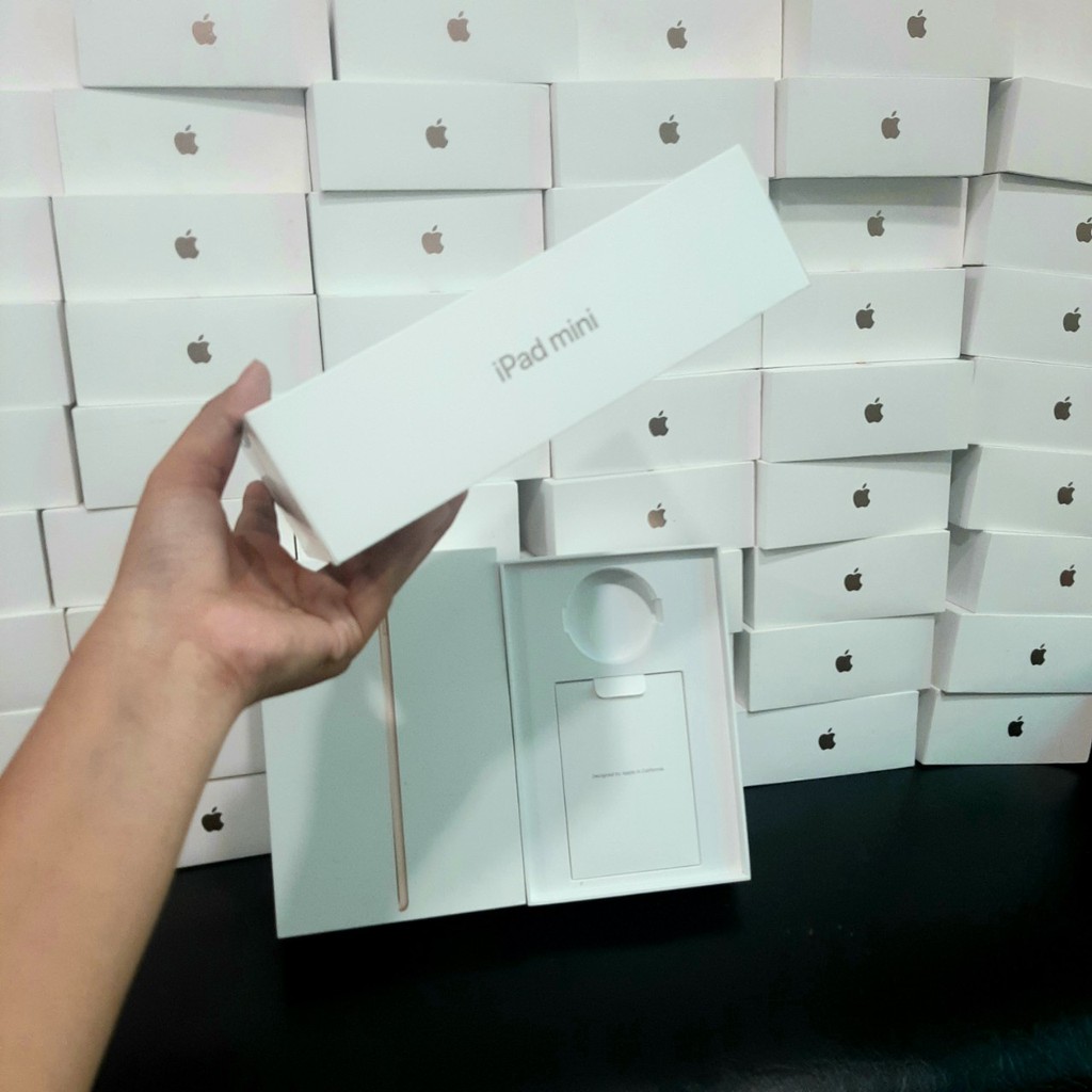 Hộp đựng ipad mini 5