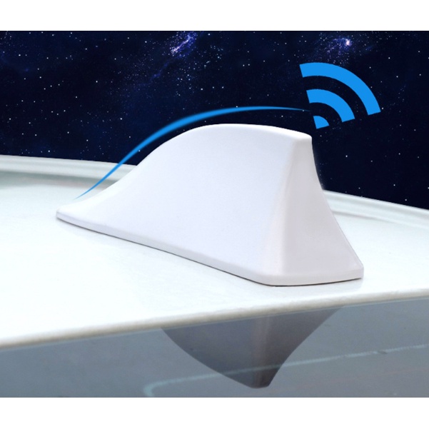 vây cá angten ô tô - Vây cá mập thể thao nắp trên ô tô