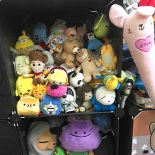 Gấu c hân 1