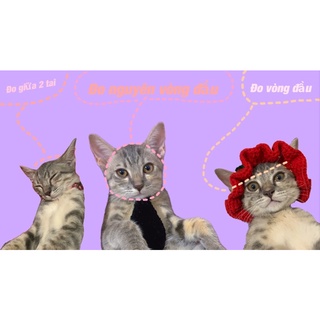 Nón tóc len cho mèo, cún ,thỏ,..
