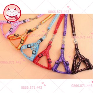 Dây dắt kèm yếm 2 lớp dày dặn ⚡𝐅𝐑𝐄𝐄𝐒𝐇𝐈𝐏⚡ Dây dắt chó mèo